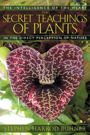 secret teachings of plants